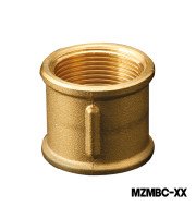 Brass Intake Strainer
